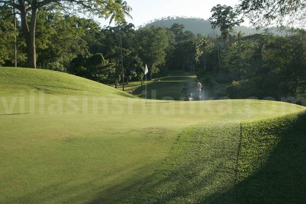 golf plots