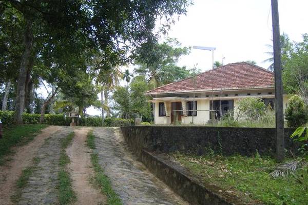 aritane pilana 1 3