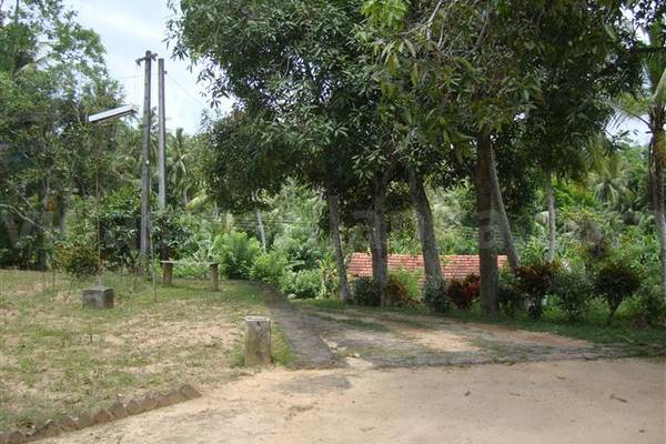 aritane pilana 16