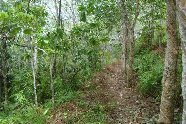path2