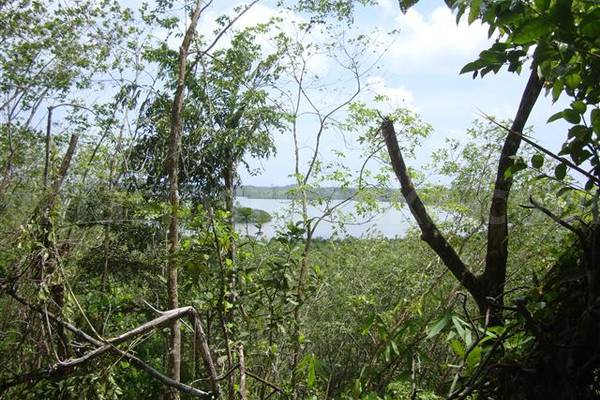 lake view