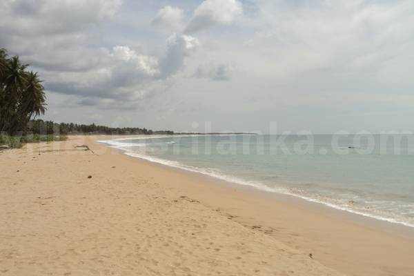 fabulous beach