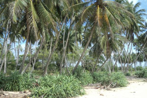 fabulous beach