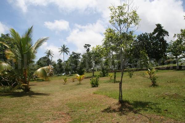 7 acres