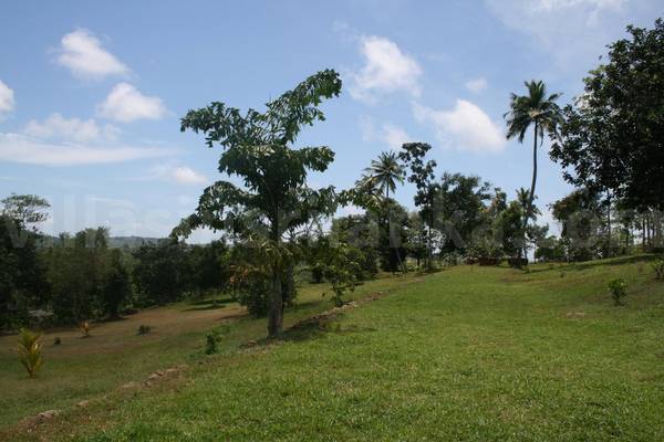 7 acres