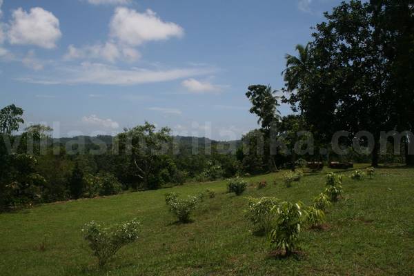 7 acres