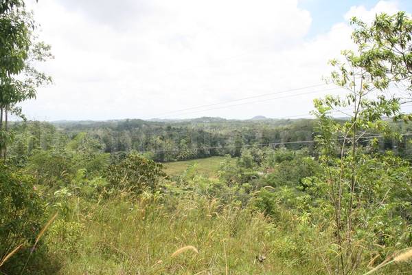 7 acres