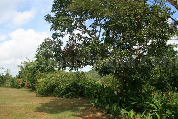 7 acres
