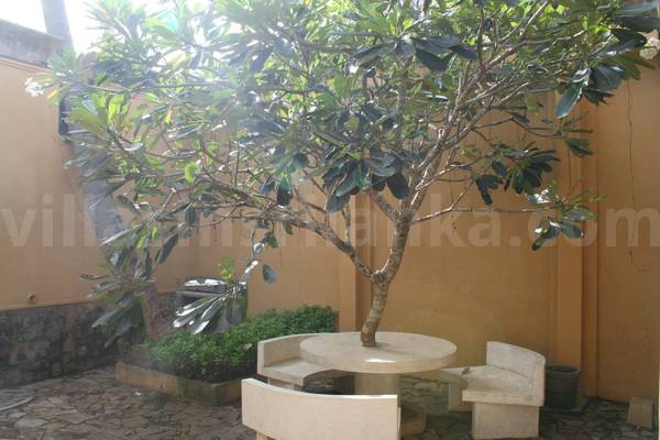 house for rent Galle Fort