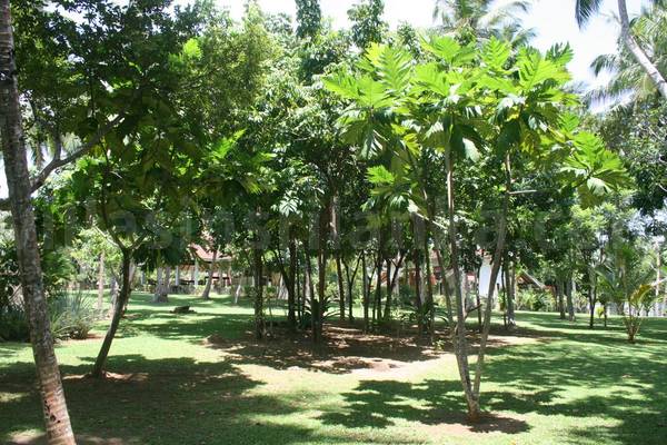 house for sale sri lanka