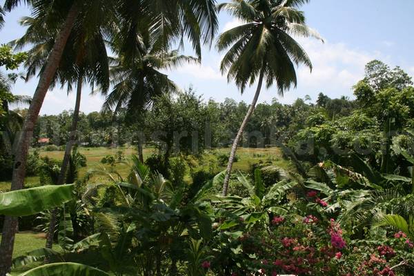 house for sale sri lanka