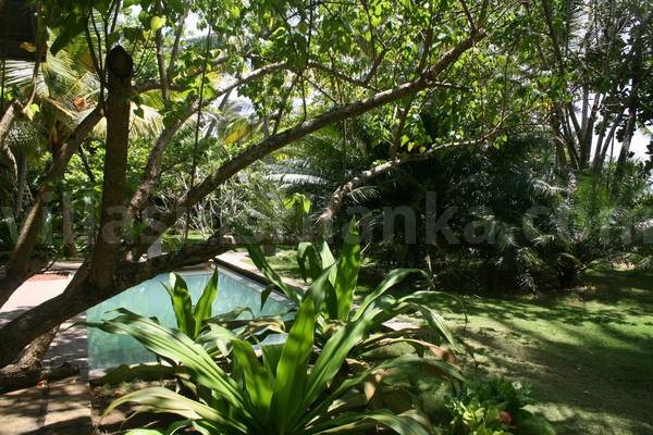 house for rent sri lanka