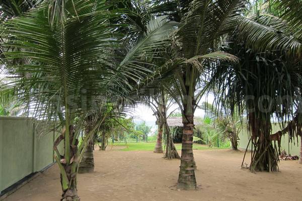 ahangama beach house