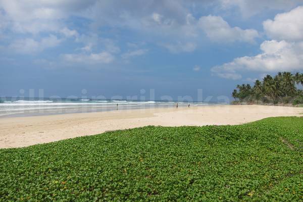 ahangama beach house
