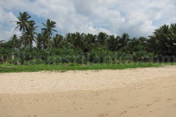 ahangama beach house