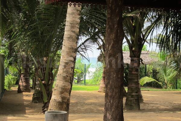 ahangama beach house