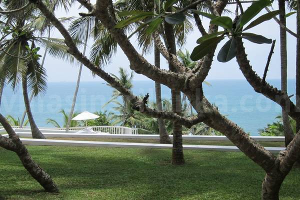 pointe sud