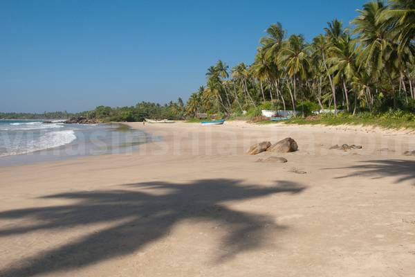 beachhouse