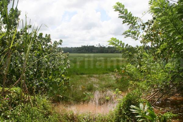 house for sale in sri lanka