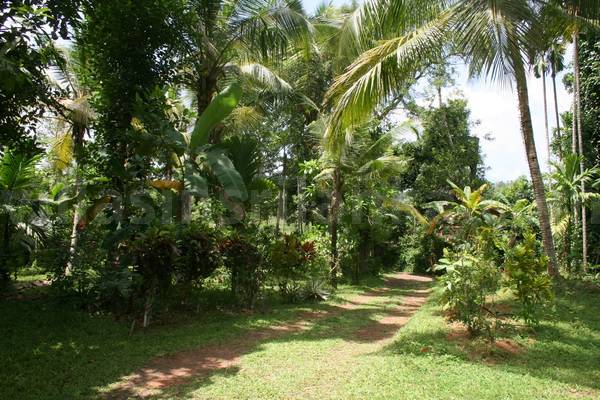 house for sale galle