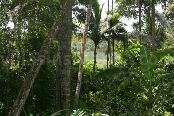 sri lanka house for sale