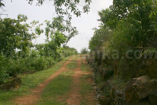 7 acres
