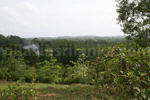 7 acres
