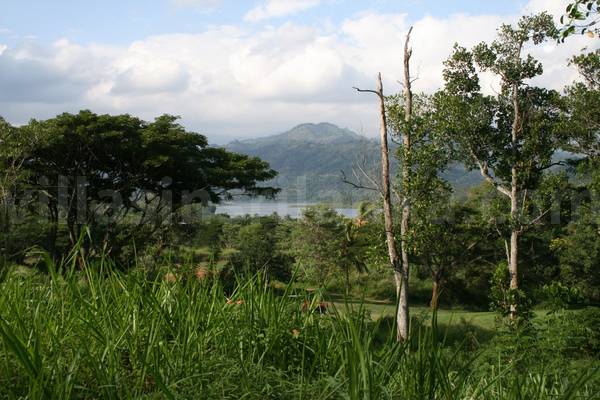 golf course