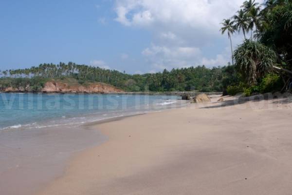 Suriwatta