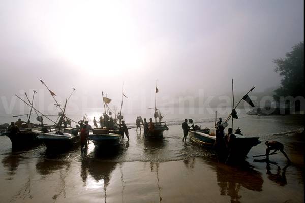 Fishing boats at sunrise