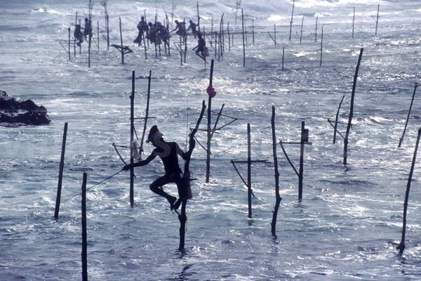 Silt fishermen Silt fishermen