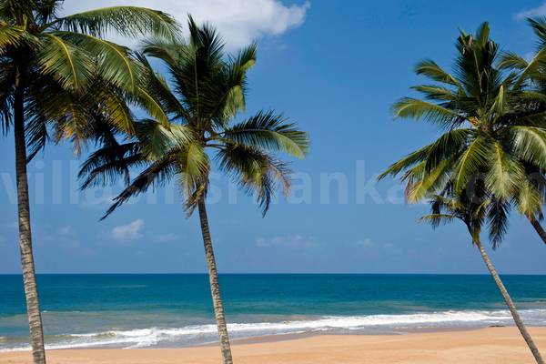 sri beach