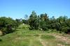 hill top jungle views