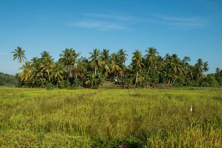 Villas in Sri Lanka: The Garden House